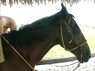 Fucking while riding a horse porn video